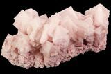 Pink Halite Crystal Plate - Trona, California #94046-4